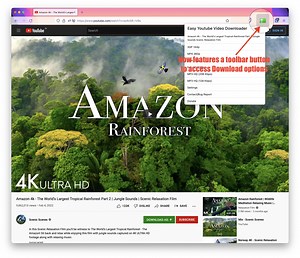 Easy Youtube Video Downloader Express – Holen Sie sich diese Erweiterung für 🦊 Firefox (de)