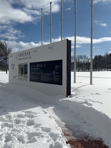 Kana on Instagram: "青森県立美術館で開催中の 「深堀隆介展 水面のゆらぎの中へ」 週末はもちろん、平日も並ぶくらい激混み！ と聞いたので1月2日のお正月真っ只中に行って来ました✨ 金魚という事で赤い辻ヶ花のお着物に 裾除け代わりのスカート。 ヒラヒラと金魚のシッポのイメージで♪ 数年前にも青森で開催された展覧会よりも今回は 規模も大きくてとても見応えありました。 マスの中や、樹脂の中にいる金魚達、 リアルで本当にそこにいる様。 今にもピチャン！と飛び出してきちゃいそう。 見ていくうちになんか不思議な感覚になってきちゃった。 私の実家にはとっても小さな池があって、そこに お祭りの金魚すくいですくって来た金魚を 離してたんですよね。 でも昔の金魚すくいの金魚ってちょっと弱いのか 気がつくと死んでいて、おなかを上にして浮いている。 今回、観ていくうちにそんな事をうっすら思い出して。 特にこの大きな絵の金魚は、いろんな交配を重ねての 元々はこの世にいない作り出された金魚達。 ぷっくりと膨らんだおなかがぬらぬらと美しく 光っていて、よく見るとその中に宇宙なんかもあって。 なん