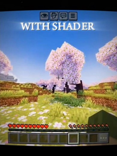 WITHOUT SHADER vs SHADER #shorts #parano