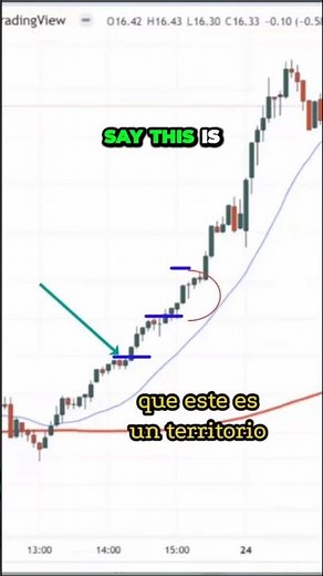 Mastering the Color Game The Art of Risk and Missed Money