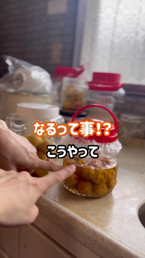 みんなお待たせしました！ 今日は仕込みまでの動画です！ここから梅酢が上がったら干します！ 梅干しを作りたいけど作り方が…なんか難しそう…と言う意見が多かったので、毎年梅干しを漬けてる私の母が、これなら初心者さんでもハードル下がるはず！ と言っていた梅干しの作り方をシェアします！ 梅干しって色々な道具揃えたり大変なイメージだけど、まずはお試しからしてみたい！と言う方でも作りやすくて瓶・またはジップロックで作れるの！ 塩分10%＋砂糖なので【酸っぱ！】というよりも少しだけまろやかさがでます！ (はちみつ梅じゃないのでめっちゃ甘いわけではない) 今回はこう言う方法でも出来るよ！と言う方法であり、とことんハードルを下げる為にシソも使わないので、赤い梅干しではなく、本来の梅の色を生かしたような色の仕上がりになるから、赤いシソ入りが良い！って方はシソ入りのレシピ探してみて下さい🥰 #梅干しレシピ