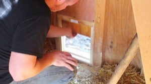 Install An Automatic Chicken Coop Door With 7 Sneaky Hacks
