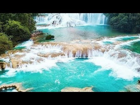 Yo Soy Chiapas Video Alta Calidad HD.mp4