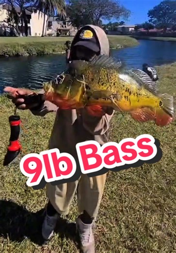 Wow! This famous YouTuber with 2.8M subscribers (Monster Mike Fishing) caught a 9lb peacock bass?! #fishing #worldrecord #bassfishing #peacockbass