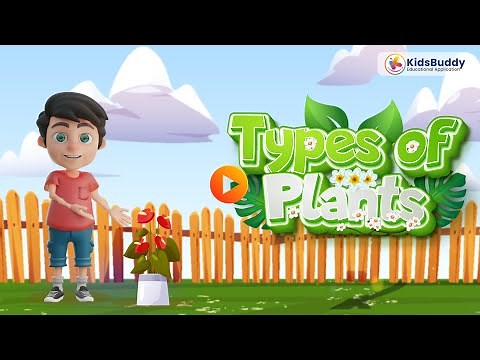Types of plants | Types of plants for kids