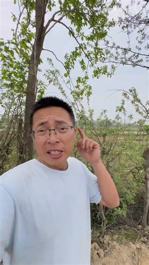 【三位环保博主同一时间被异地登录：IP都在长沙】4月8日，一名环保博主发视频称，自己和另外两位环保博主，在同一天、同一时间遭遇账号被异地登录。三人的登录地点显示一致，均来自长沙，而且设备型号都显示为Redmi 12 Pro。更蹊跷的是，其中一人被登录的还是自己实名认证的小号。从目前披露的细节来看，这些账号被登录后，并没有进行其他操作，只是统一修改了“陌生人私信权限”。也就是说，对方只是限制了外人给账号发消息的功能。三人同时、同地、同设备被登录，引发不少人质疑：这种操作是怎么做到的？背后目的又是什么？