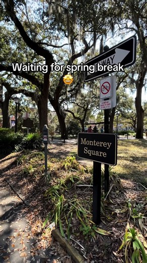 Waiting for spring break 🤩 | spring break