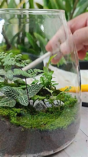 How To Make a Terrarium at Home - An In-Depth Tutorial #terrariumlife #terrariumart | Idea Hut