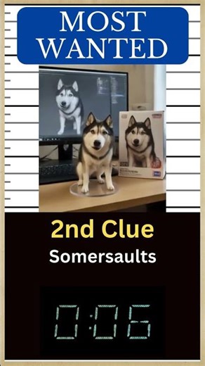 Famous Talking Huskamute | Guess a Pet Celebrity 05 🐶