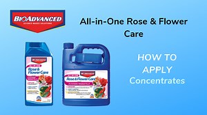 Watch BioAdvanced All-in-One Rose & Flower Care - How To Apply&colon; Concentrates on Amazon Live