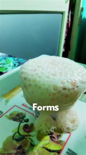 🧑‍🔬 Easy Volcano Experiment for Kids !