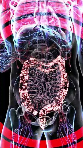 What are humic and fulvic acids 👩‍🔬