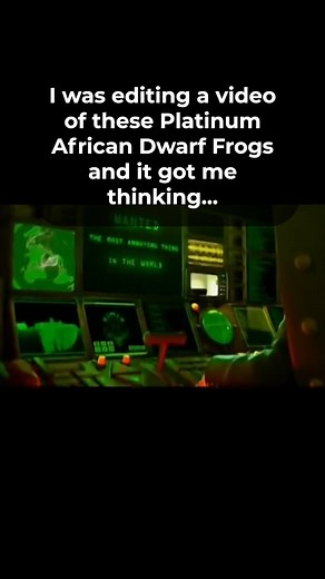 Does anyone else remember crazy frog? 👀 Get your own crazy frog here 🐸 https://bit.ly/44EJ7AS 🦐 Shop our Shrimp: https://bit.ly/3Qx3uKY 🐡 Shop our Fish: https://bit.ly/3Gw0fxm collections/all-nano-fish 🌱 Live Aquarium Plants: https://bit.ly/49uh6y6 🐌 Shop our Snails: https://bit.ly/3Gw0fxm collections/all-snails 🔔 Subscribe and follow along on our journey: https://bit.ly/485ea8U 👪 Become a part of our Exclusive Shrimp Family: https://bit.ly/3GB7HHR 🦐 Shop shrimp, fish, snails, plants an