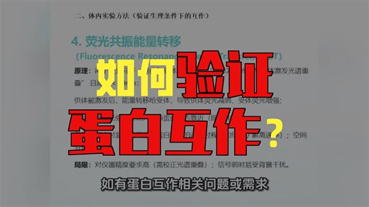 蛋白互作验证方法