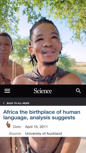 How beautiful 🥰❤️ The Khoisan African tribes are the oldest humans on earth and the oldest African groups in Africa and their Click language is the oldest spoken language and the origins of all languages in Africa and outside of Africa. 🌍 📽️ Courtesy: @nilevalleyhistory ADI ➡️ Follow for more! JOIN ADI! Visit our website to register & more 🔗 Link in bio #africandiasporainternational #adi #africandiaspora #IMAFRICAN #africans #weareafricans #africa #Alkebulan #AfricanDiaspora #TheCore #diaspo