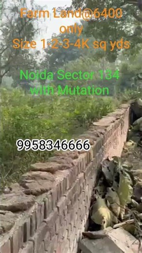 Farm land for sale in Noida Sector 134. #travel #noidarealty #farmland #farmforsale
