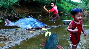 Top one Wild Women - Baby boy and Mother find amazing big fish in water river - Grilled big fish eating | Top One