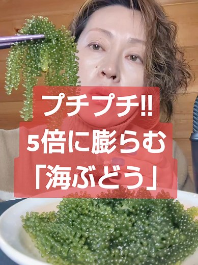 無添加無着色の海ぶどうをお試し購入しよう