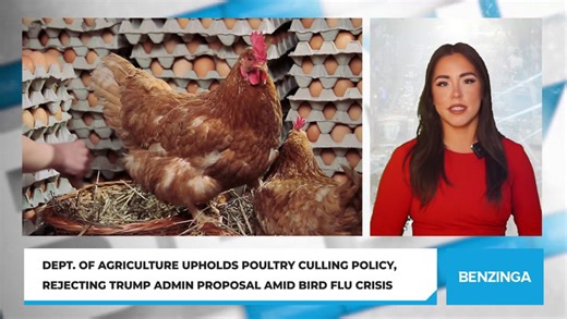 Dept. Of Agriculture Upholds Poultry Culling Policy, Rejecting Trump Admin Proposal Amid Bird Flu Crisis