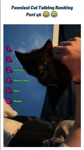 They’re actually talking! 🗣️ Funniest Talking Cats Ranking #shorts