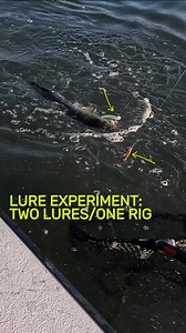 80 reactions | Light  Dark Lures - Which works better? We’re running...