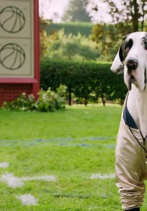 Pup Academy S01:E09 - Into the Wildwood