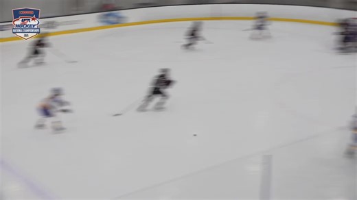 🏆 CHAMPS 🏆 Lovell Academy claims the 2025 Chipotle Mexican Grill-USA Hockey High School Girls National Championship! #USAHNationals | #TrainEatRepeat | USA Hockey