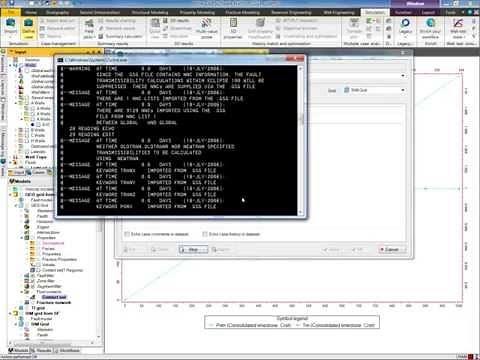 Simulation - Petrel RE 1/4