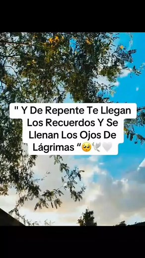💔😉cuando llegan los recuerdos 🥺 😞 😭 #sobrelatumbademipadre #unpuñodetierra #Spotify #marcoflores #MarcoFloresYLaJerez #amordelavidaalegre #lasaguilasandansolas #lacabrona #feria #baile #ConLaBendicionDeDios #LluviaDeCerveza #misfanslosmejores #jerezzacatecas #LaVidaEnElRancho #acaballo #cabalgando #DesdeElRancho #lluviadecerveza #sabadodegloria #sábadodegloria2025 #jerezzacatecas #arribaasmujeres #flordepiña #disfrutando #PlataformasDigitales #disfrutadelavida #marcoflores #paratiiiiiiiiiii