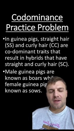 Codominance practice problem #biology #genetics #codominance #greenscreen