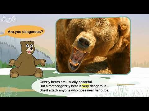 lv02 005 Meet the Animals 5 Grizzly Bear