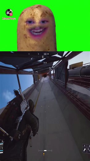 cannwickle (@cannwickle)’s videos with original sound - cannwickle