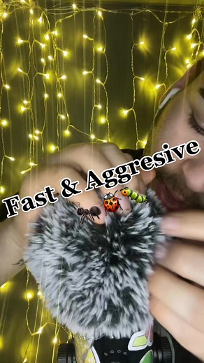 Replying to @all_for_lov3 Bugs 🐜🪲🫠 #fyp #foryou #foryoupage #asmr #asmrbugs #fastasmr #asmrfast #fastandaggressiveasmr #mattwhispersasmr