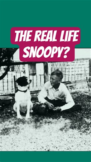 The real life Snoopy? #Snoopy #peanuts #comiccharacter