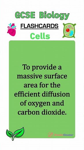 Cell biology revision flashcards GCSE #education #revision #combinedscience