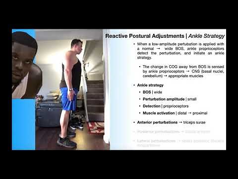 RPAs EXPLAINED [Part 1] | Ankle Strategies