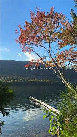 this is your sign to get out to explore and disconnect in nature more.