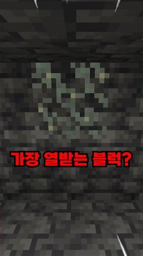 마크가 공식 인정한 가장 짜증나는 블럭