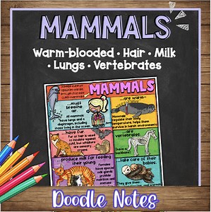 Mammals Doodle Notes & Quiz | Animal Classification & Adaptations Visual Notes