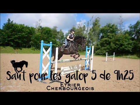 Cours d'obstacle Galop 5 - 9h25 - Etrier Cherbourgeois