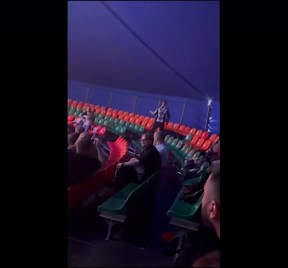 Tiger leaps into crowd after circus barrier collapses