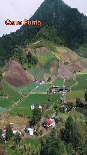 Explorando Cerro Punta: Naturaleza en Chiriquí, Panamá