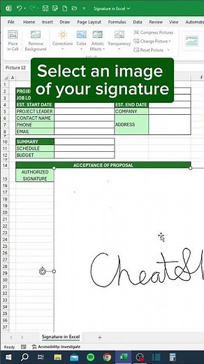 Signature in Excel‼️ #excel