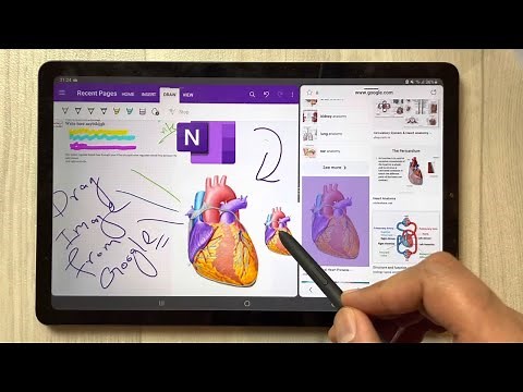 How to Insert Image in Microsoft OneNote - Directly from Google