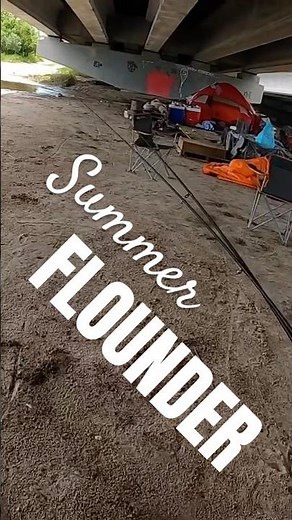 Catching FLOUNDER in Florida's SLUMS #flounder #flounderfishing