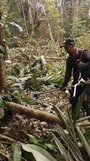 juan2832cortes on TikTok