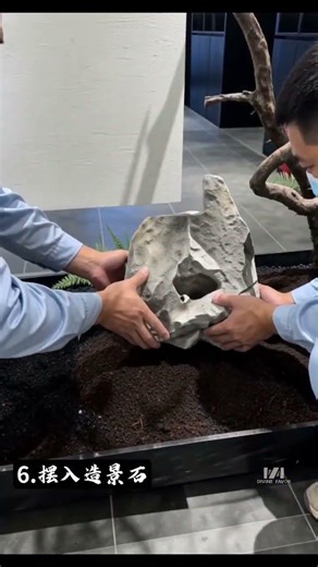 Planting trees in the passageway #SpaceDesign #gardendesign #garden #plants