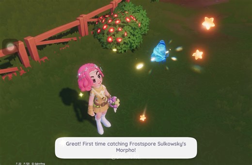 Insect Catching in Heartopia's Winter Frost Season