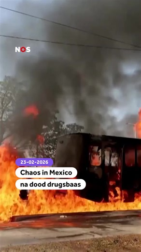 Code Rood Afgekondigd in Mexico: Wat Nu?