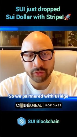 SUI Just Dropped Sui Dollar with Stripe!🚀 #Sui #Crypto #podcast #startup #beginners #nobatidao